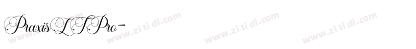 PraxisLTPro字体转换
