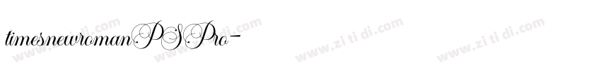 timesnewromanPSPro字体转换