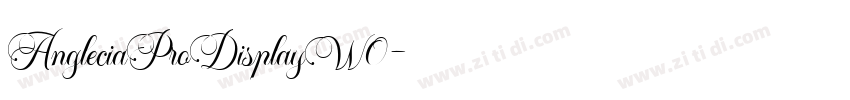 AngleciaProDisplayW0字体转换