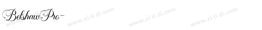 BelshawPro字体转换