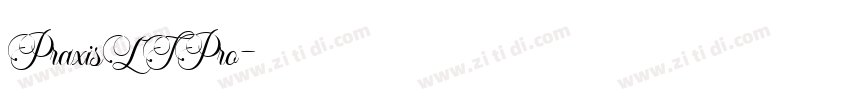 PraxisLTPro字体转换