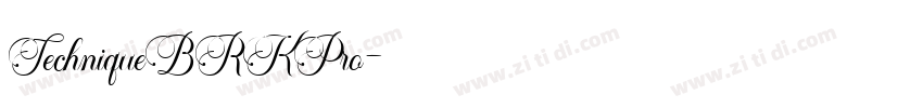 TechniqueBRKPro字体转换
