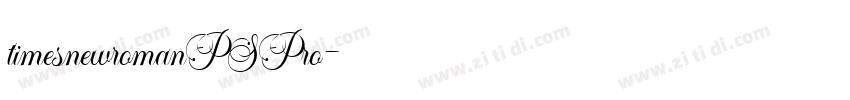 timesnewromanPSPro字体转换
