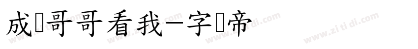 成训哥哥看我字体转换