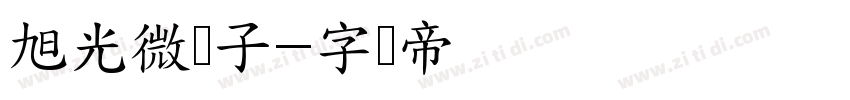 旭光微电子字体转换