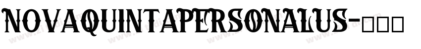 NovaQuintaPERSONALUS字体转换