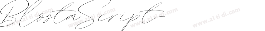 BlostaScript字体转换