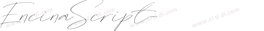 EncinaScript字体转换