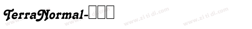 TerraNormal字体转换