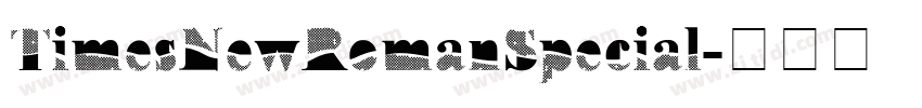 TimesNewRomanSpecial字体转换