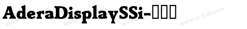 AderaDisplaySSi字体转换