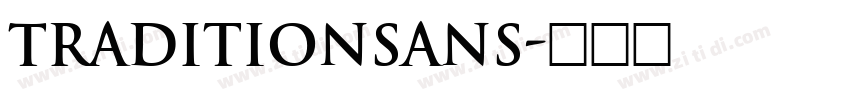 TraditionSans字体转换