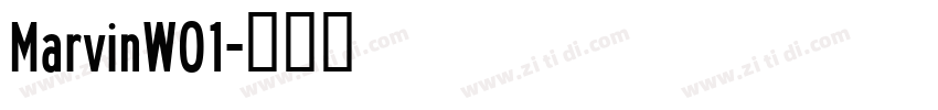 MarvinW01字体转换