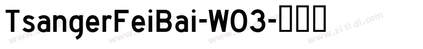 TsangerFeiBai-W03字体转换