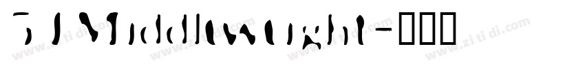 51Middleweight字体转换