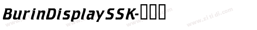 BurinDisplaySSK字体转换
