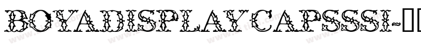 BoyaDisplayCapsSSi字体转换
