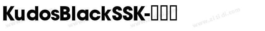 KudosBlackSSK字体转换