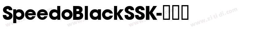 SpeedoBlackSSK字体转换