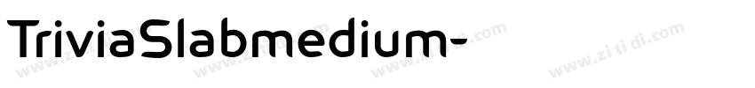 TriviaSlabmedium字体转换