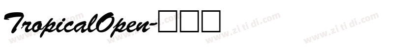 TropicalOpen字体转换