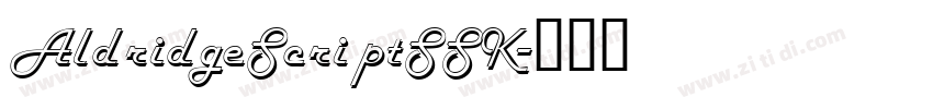 AldridgeScriptSSK字体转换