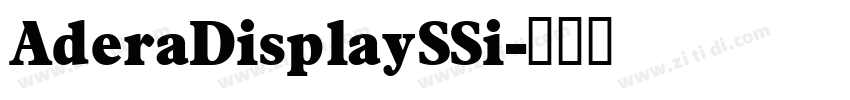 AderaDisplaySSi字体转换