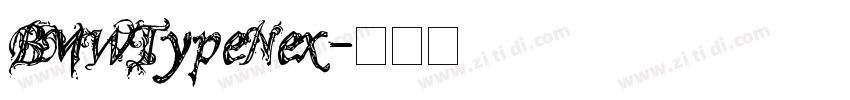 BMWTypeNex字体转换
