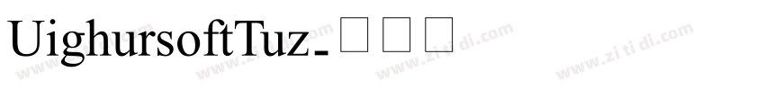 UighursoftTuz字体转换