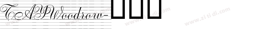 TAYWoodrow字体转换
