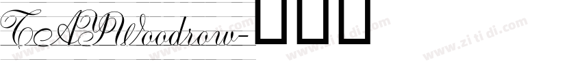 TAYWoodrow字体转换