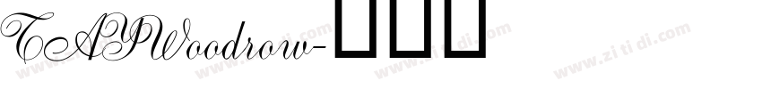 TAYWoodrow字体转换