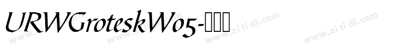 URWGroteskW05字体转换