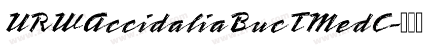 URWAccidaliaBucTMedC字体转换