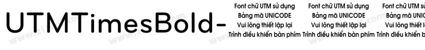 UTMTimesBold字体转换