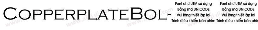 CopperplateBol字体转换