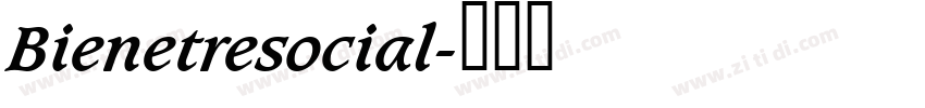 Bienetresocial字体转换