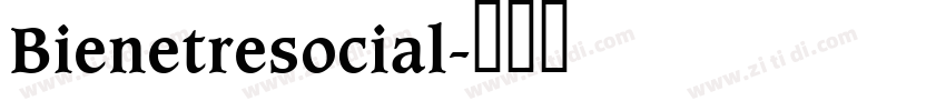 Bienetresocial字体转换