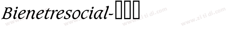 Bienetresocial字体转换