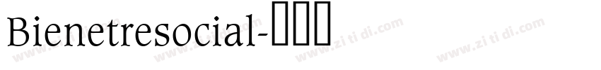 Bienetresocial字体转换