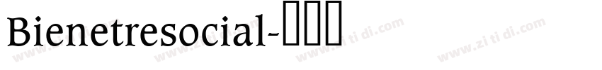 Bienetresocial字体转换