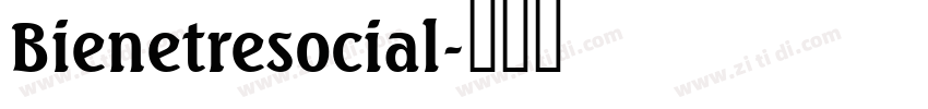 Bienetresocial字体转换