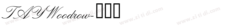 TAYWoodrow字体转换