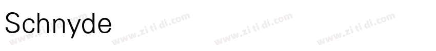 SchnyderWideMLight字体转换
