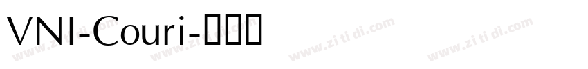 VNI-Couri字体转换