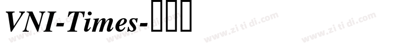 VNI-Times字体转换