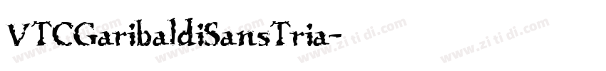 VTCGaribaldiSansTria字体转换