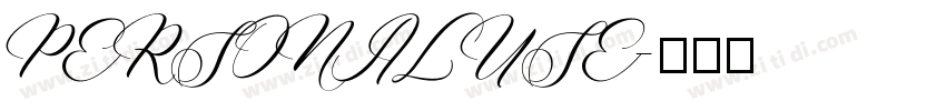 PERSONALUSE字体转换