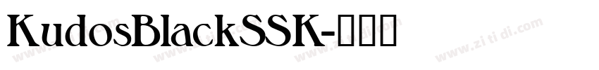 KudosBlackSSK字体转换