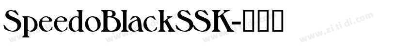 SpeedoBlackSSK字体转换